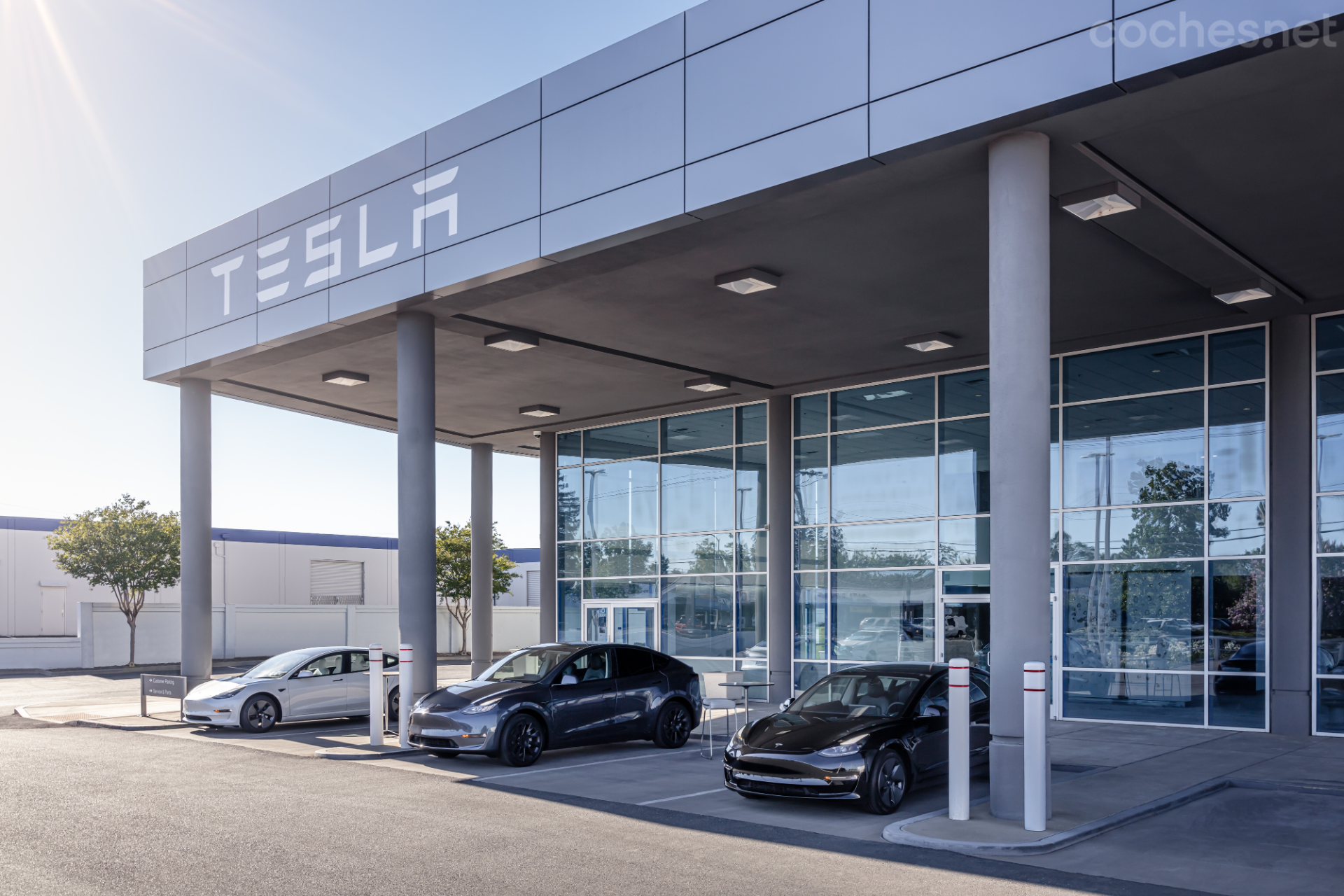 Opiniones de Las ventas de Tesla se desploman en Europa